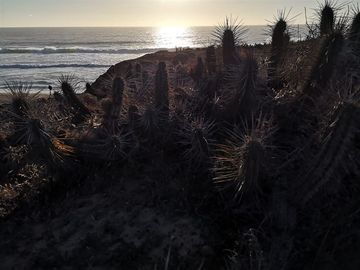 Sitio en Venta en quebrada maitencillo