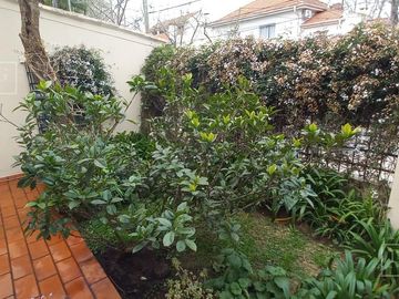 Casa impecable estado de 4 dormitorios y hermoso jardin en Olivos-Vias/Maipu