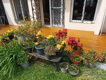 Casa impecable estado de 4 dormitorios y hermoso jardin en Olivos-Vias/Maipu