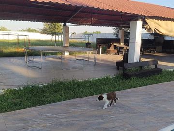QUINTA EN VENTA EN PESQUERIA
