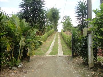 Venta Chalet Tebaida Quindio COD: 574879