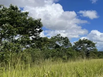 Land for sale in Kantang Tai, Trang