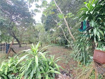 VENDO CASA CON 3000MTS2 HORCONCITOS