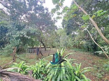VENDO CASA CON 3000MTS2 HORCONCITOS