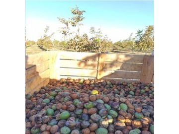 VENDE – FINCA DE 86 HECTREAS, UBICADAS EN ANCHORIS, TUPUNGATO,MENDOZA