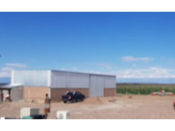 VENDE – FINCA DE 86 HECTREAS, UBICADAS EN ANCHORIS, TUPUNGATO,MENDOZA