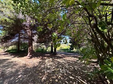 Casa en Venta en Del Pinar - Av. del Parque