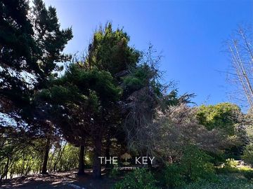 Casa en Venta en Del Pinar - Av. del Parque