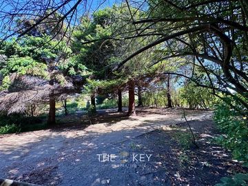 Sitio en Venta en Del Pinar - Av. del Parque