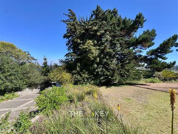 Terreno Construccion  en Venta en Del Pinar - Av. del Parque