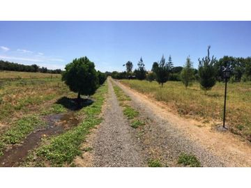 Venta parcela 6,2 hectáreas con 2 casas en Olmué