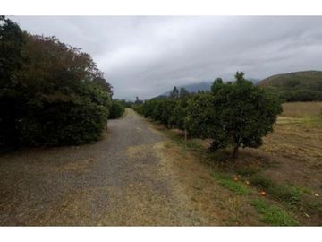 Venta parcela 6,2 hectáreas con 2 casas en Olmué
