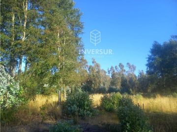 PARCELA A 10 KM DEL CENTRO DE PANGUIPULLI
