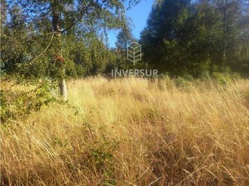PARCELA A 10 KM DEL CENTRO DE PANGUIPULLI