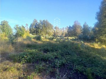 PARCELA A 10 KM DEL CENTRO DE PANGUIPULLI