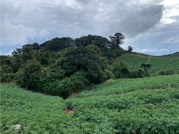 vendo finca, lote, terreno. la unión Antioquia 3, 9 Hectáreas