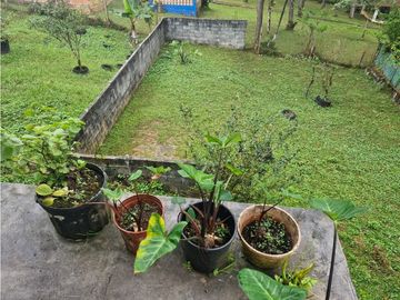 CERRO AZUL / 1000M2 / 4 HABIT / TERRAZA / JARDN / TOTALMENTE CERCADA