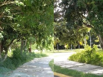 VENTA DE TERRENO EN CHETUMAL