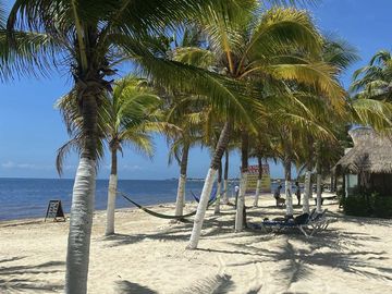 PH DE 3 RECAMARAS BEACH FRONT EN PLAYA DEL CARMEN