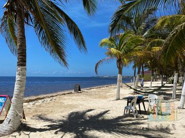 PH DE 3 RECAMARAS BEACH FRONT EN PLAYA DEL CARMEN