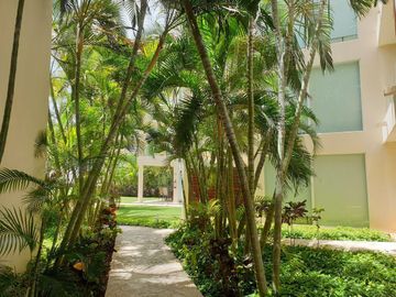 PH DE 3 RECAMARAS BEACH FRONT EN PLAYA DEL CARMEN
