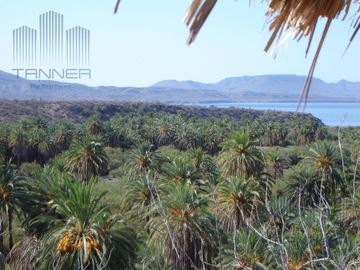 VENTA DE PUNTA EL PULPITO (PENINSULA)