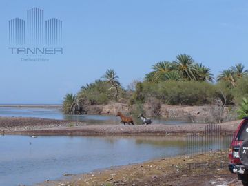 VENTA DE PUNTA EL PULPITO (PENINSULA)