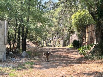 Terreno en venta en Ocoyoacac