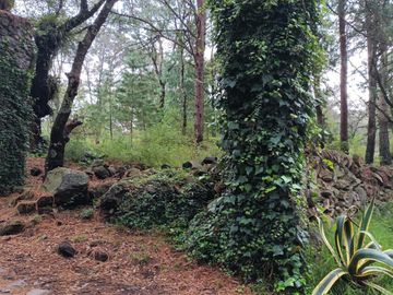 Terreno en venta en Ocoyoacac