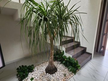 Casa en Venta en Cañadas del Bosque Tres Marías