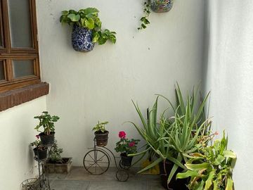 CASA EN VENTA EN COLONIA EL CARMEN HUEXOTITLA