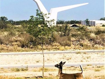 Terreno en venta en Las Aves en Pesquería