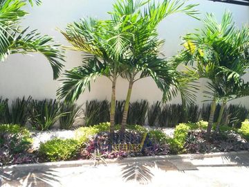 EXCEPCIONAL CASA  CON ALBERCA Y PANELES SOLARES EN RENTA O VENTA EN COL. JARDINES