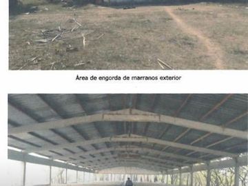 Terreno - Juárez