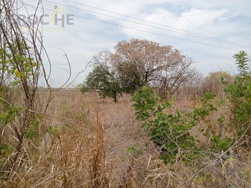 Terreno con Casa en Venta en Vega de Alatorre, Ver.