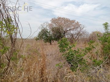 Terreno con Casa en Venta en Vega de Alatorre, Ver.