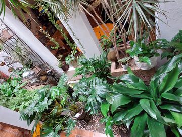 VENTA DE CASA EN SAN MATEO METEPEC