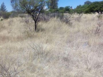 Venta de Terreno en Ejido Pocitos, Aguascalientes