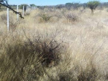 Venta de Terreno en Ejido Pocitos, Aguascalientes