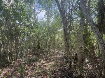 Terreno cerca de Villas Vallazoo