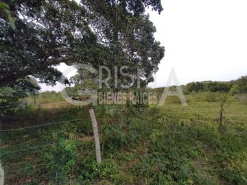 RANCHO EN VENTA EN TAMIAHUA, VERACRUZ