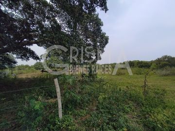RANCHO EN VENTA EN TAMIAHUA, VERACRUZ