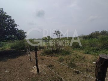 RANCHO EN VENTA EN TAMIAHUA, VERACRUZ