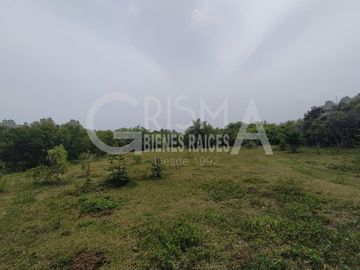 RANCHO EN VENTA EN TAMIAHUA, VERACRUZ