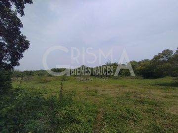 RANCHO EN VENTA EN TAMIAHUA, VERACRUZ