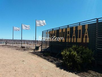 Parcela en Venta en Sector Los Ermitaños , Punta Colorada 64