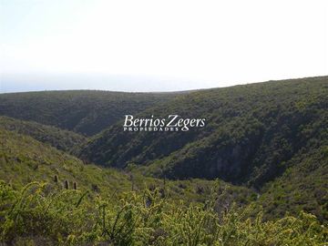 Parcela en Venta en Sector Los Ermitaños , Punta Colorada 64