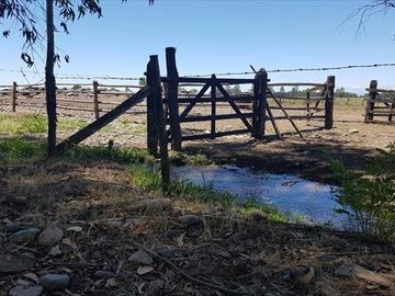 Parcela en Venta en  Linares