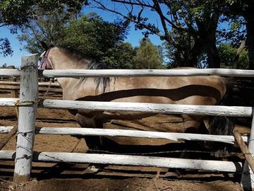 Parcela en Venta en  Linares