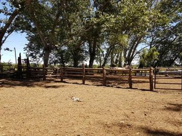 Parcela en Venta en  Linares